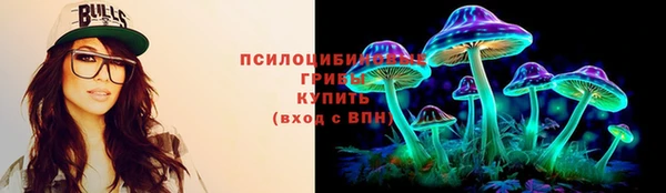 mix Вяземский